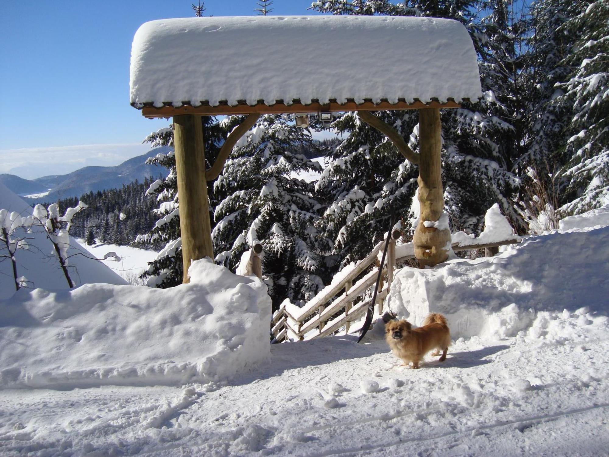 Charming Chalet Rogla Hudinja Εξωτερικό φωτογραφία